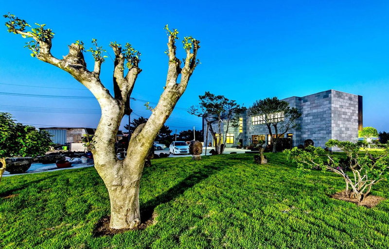 Bada Maru Pension, Seogwipo, Corea del Sur