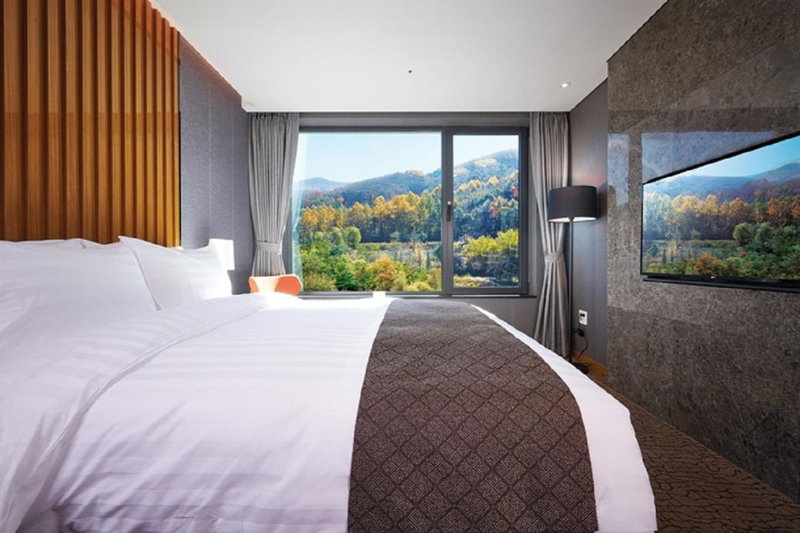 Jeongseon JS GRAND PALACE Hotel, Jeongseon, 대한민국