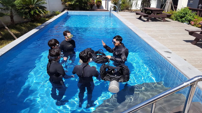 Oceantree House, Seogwipo, 대한민국