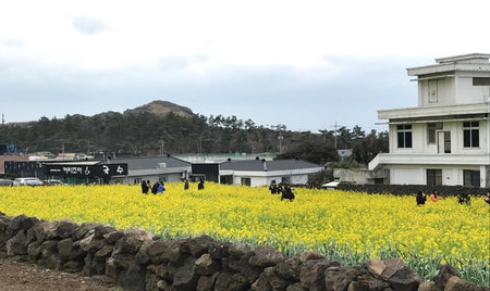 Jeju Moseulpo Hotel, Seogwipo, South Korea
