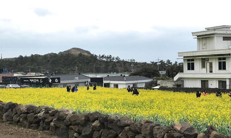 Jeju Moseulpo Hotel, Seogwipo, South Korea