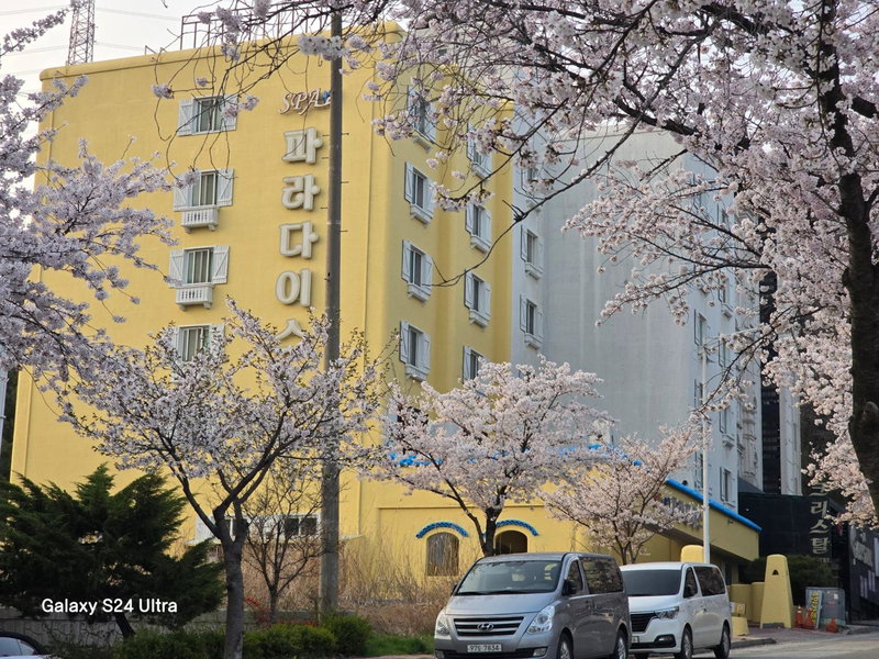Asan Paradise, Asan, South Korea