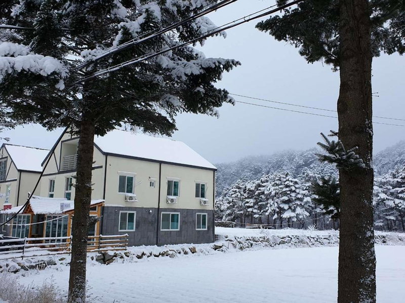 오대산 달빛펜션 Odaesan Moonlight Pension, Pyeongchang, Южная Корея