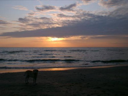 Badhotel Zeecroft, Wijk aan Zee, Niederlande