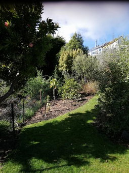 Whaka Heights, Christchurch, New Zealand