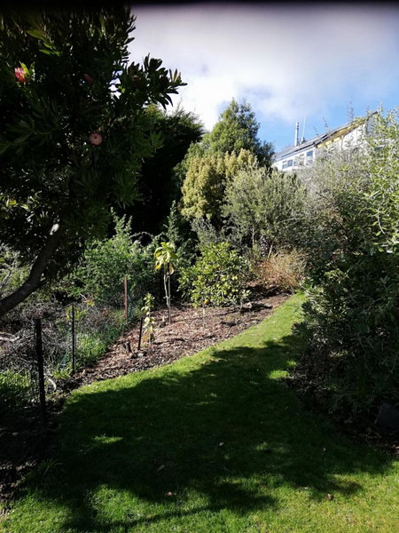 Whaka Heights, Christchurch, New Zealand
