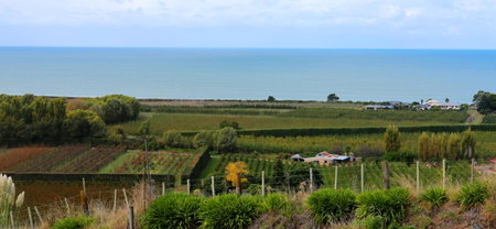 Chalet Swen Song, Napier, Neuseeland