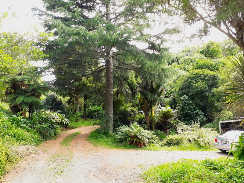 Quirky Woods - Glamping Cabins at Maketu, Maketu, New Zealand