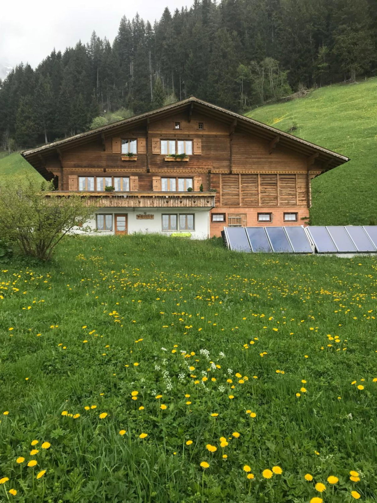 Abelied, Suisse