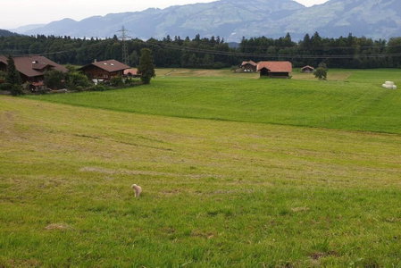 White Home in Aeschi Bei Spiez, Aeschi bei Spiez, Schweiz