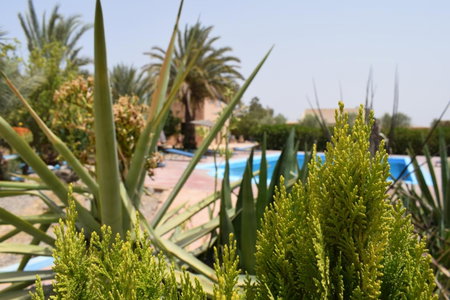 Maison d'hotes la tour de toile, Taroudant, Morocco