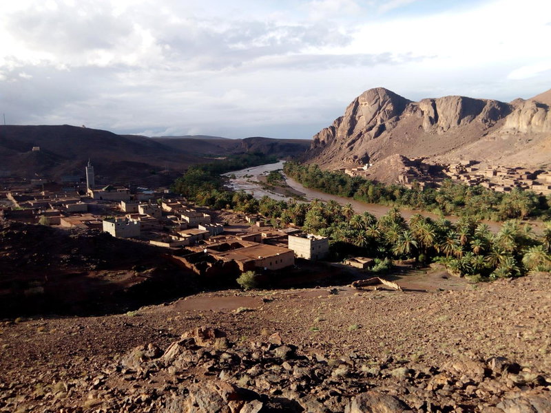 Auberge Restaurant TISSILI " Oasis de Fint", Fint, Morocco