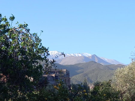 Ourika Timalizène le jardin des délices, Tamzerdirt, Morocco