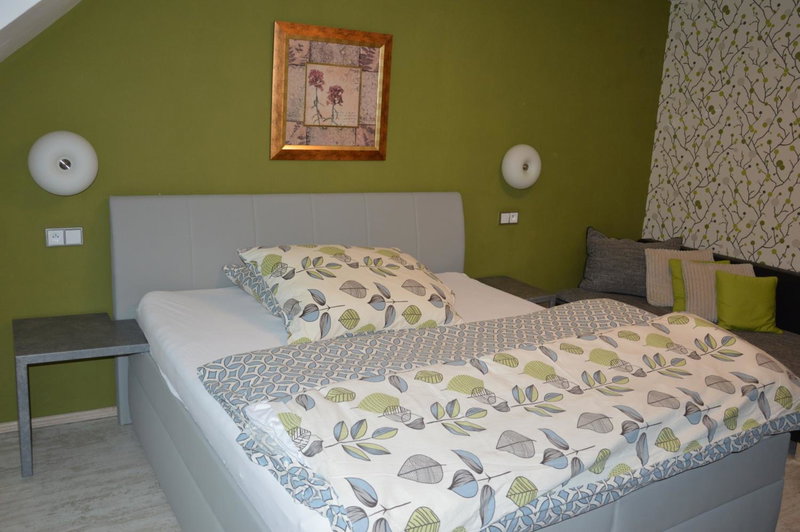 Hotel Olga, Vyskov, Czechia