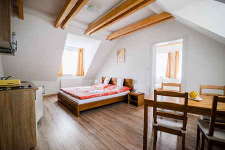 Dueta Apartment, Ceske Budejovice, Czechia