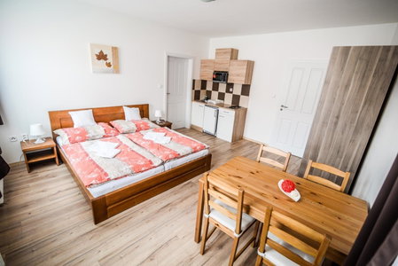 Dueta Apartment, Ceske Budejovice, Czechia