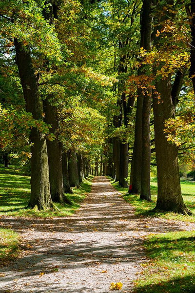 Depandance - vedlejší budova u Zámku Třešť, Třešť, Czechia