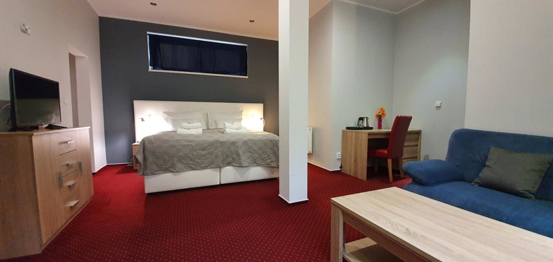 Saraya Wellness & Penzion, Teplice, Czechia