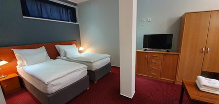 Saraya Wellness & Penzion, Teplice, Czechia