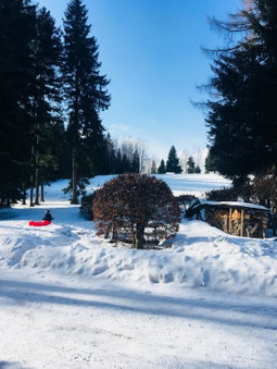 Hotel Lesní Chata, Kořenov, Czechia