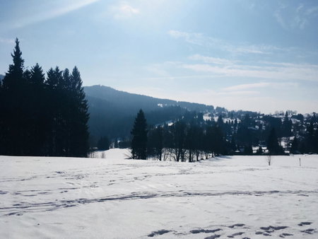 Hotel Lesní Chata, Kořenov, Czechia