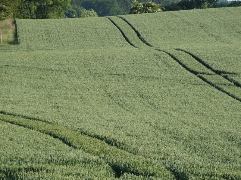 Au Fond des Rys, Grez-Doiceau, Belgium