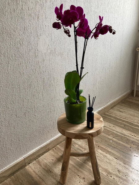 Rustig appartement in het groen met terras, Kontich, Belgium