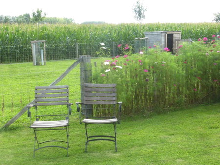 De Zevende Zon, Poperinge, Bélgica