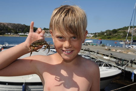 Saltviks Stugby & Camping, Grebbestad, Sweden