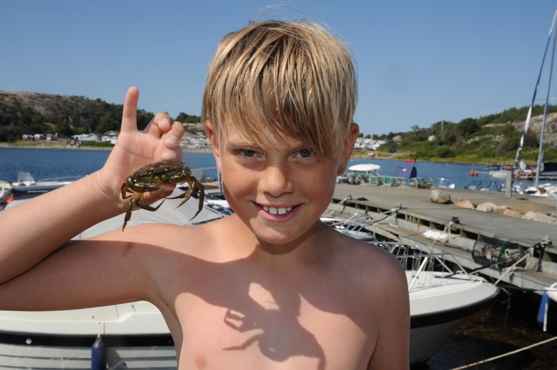 Saltviks Stugby & Camping, Grebbestad, Sweden
