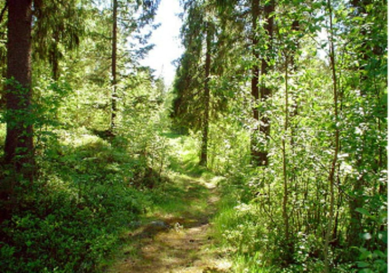 Lufta Camping & Restaurang, Ånäset, Sweden