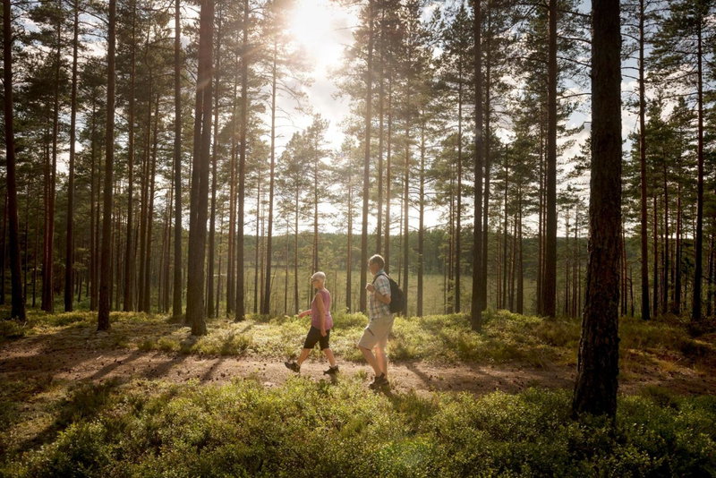 First Camp Hökensås-Tidaholm, Tidaholm, Sweden