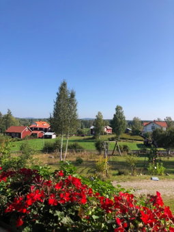 Långhedgården Bed & Breakfast, Alfta, Sweden