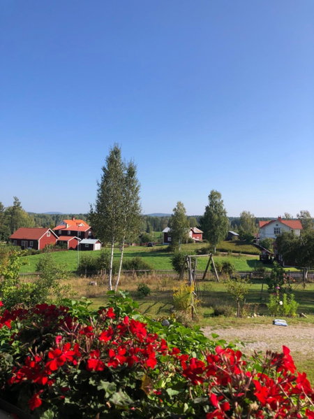 Långhedgården Bed & Breakfast, Alfta, Sweden