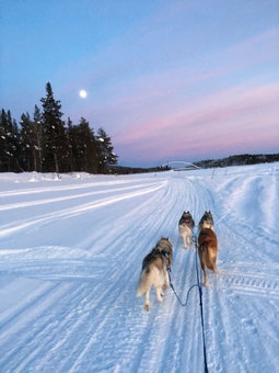 Lappeasuando Lodge, Gällivare, Швеция