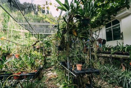 Amazing Grace Lodge, Ranau, Malaysia