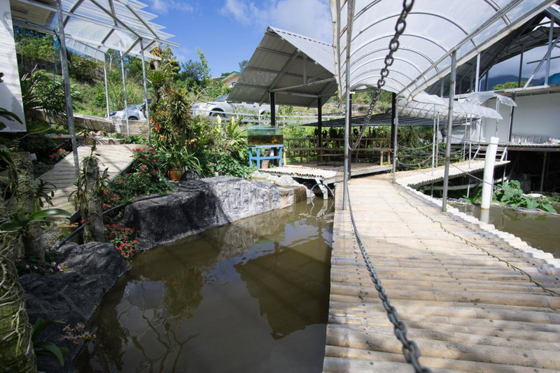 Amazing Grace Lodge, Ranau, Malaysia