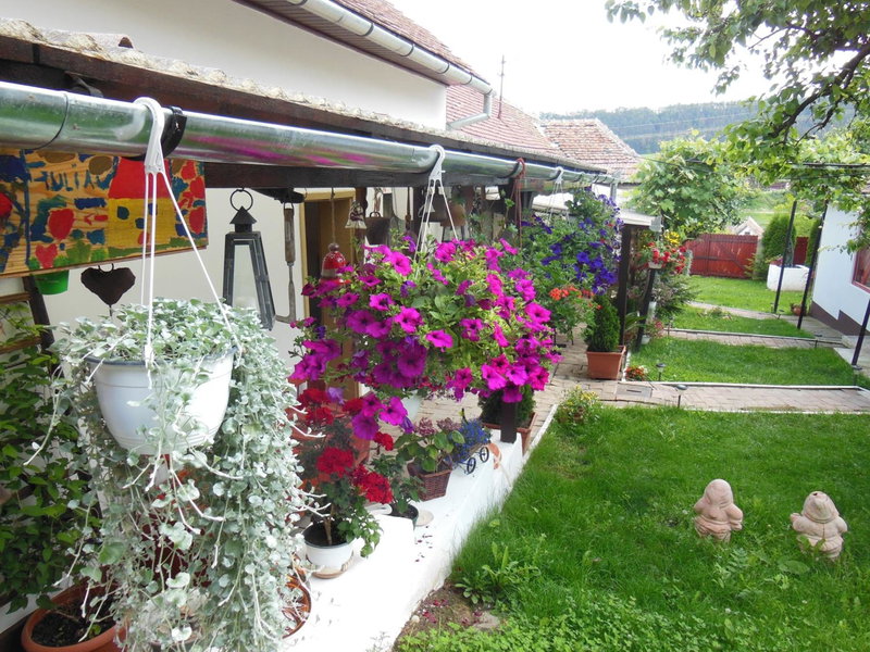 Pension Bassen, Bazna, Romania