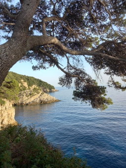 Villa Sea Dream Koločep, Koločep, Croatia