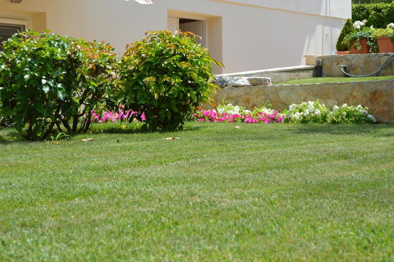 Apartmani Milin, Zadar, Croacia
