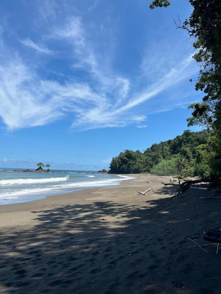 Pacific Waves Hostel & Surf, El Valle, Colombia