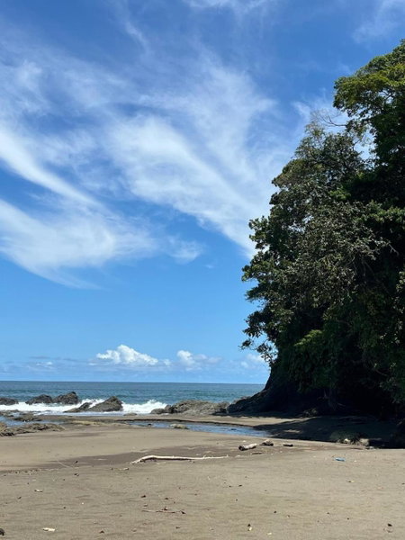 Pacific Waves Hostel & Surf, El Valle, Colombia
