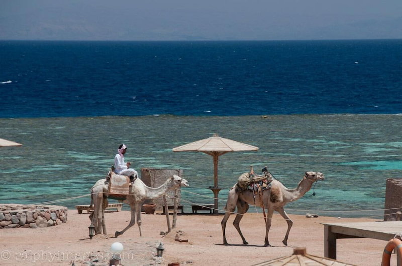 Daniela Village Dahab, Dahab, Egypt