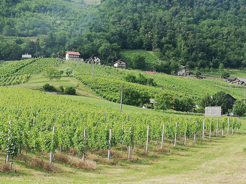 Grobelnik Tourist Farm, Sevnica, Словения