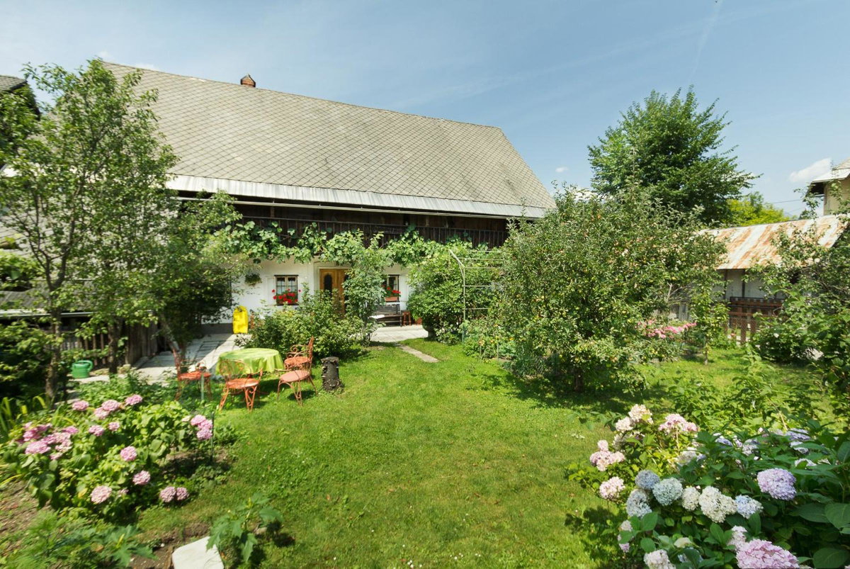House, Garden and a Green Cat, Slowenien