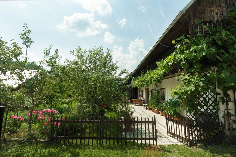 House, Garden and a Green Cat, Bled, Slovénie