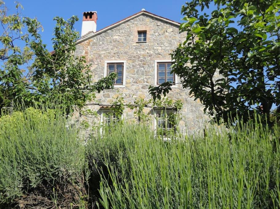 A lovely house in Vipava valley, Slovenia