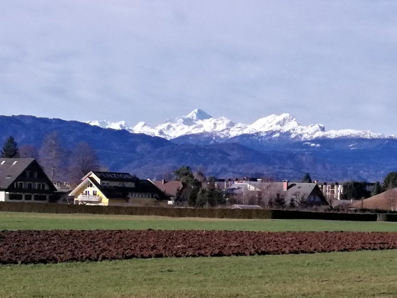 edelweiss, Radovljica, Eslovenia
