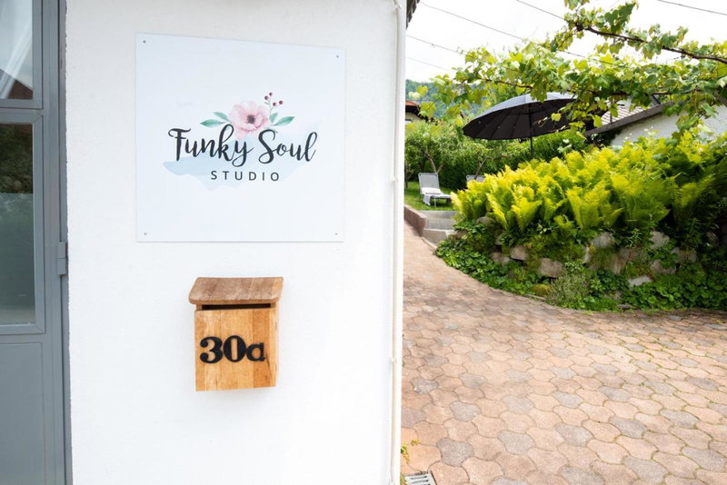 Funky soul studio, Žirovnica, Slovenia