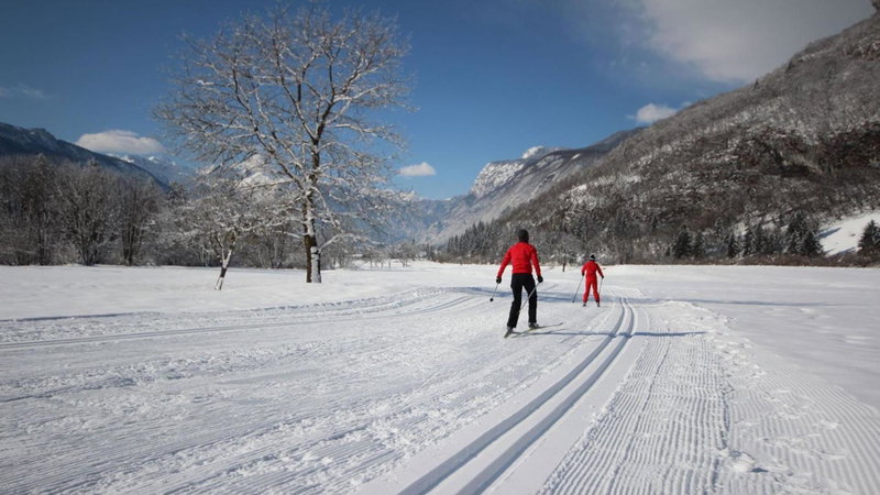 Apartments Bohinjc, Bohinj, Slovénie